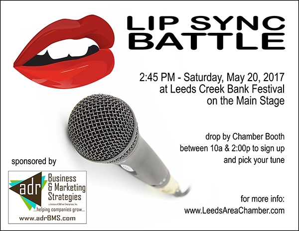 Lip Sync Contest at Creek Bank Festival 2017 sponsored by adr Business & Marketing Strategies Leeds Alabama